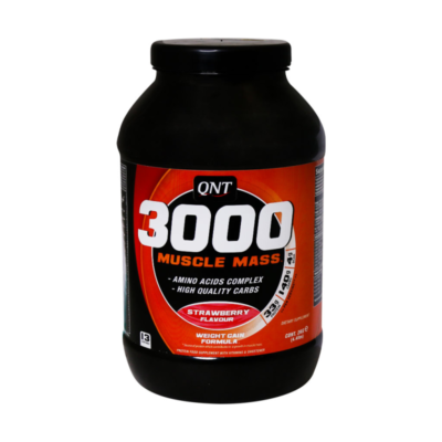 پودر ماسل مس 3000 کیو ان تی 2 کیلوگرم QNT Muscle Mass 3000 2 Kg