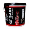 پودر جی تی گین آی اس اس 4000 گرم Iss Gt Gain Powder 4000 g