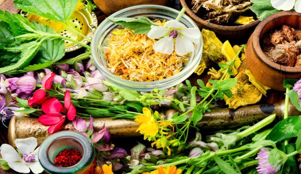 انواع داروی گیاهی برای استرس که نمی‌دانید